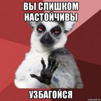 вы слишком настойчивы узбагойся