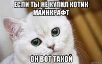 если ты не купил котик майнкрафт он вот такой