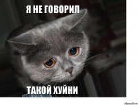 Я не говорил Такой хуйни