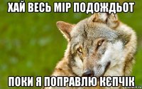 хай весь мір подождьот поки я поправлю кєпчік