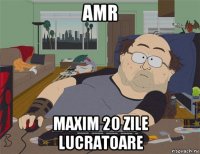 amr maxim 20 zile lucratoare