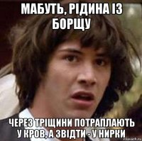 мабуть, рідина із борщу через тріщини потраплають у кров, а звідти - у нирки