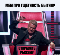 Мем про тщетность бытия? Отправить Рыжему