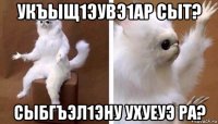 укъыщ1эувэ1ар сыт? сыбгъэл1эну ухуеуэ ра?