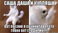 саша даша и купляша вот поезию я сочинила вот ета говно вот ета дирмо!!!!