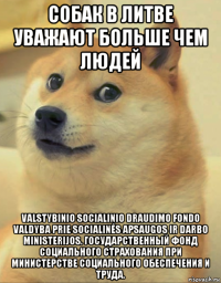 собак в литве уважают больше чем людей valstybinio socialinio draudimo fondo valdyba prie socialinės apsaugos ir darbo ministerijos. государственный фонд социального страхования при министерстве социального обеспечения и труда.