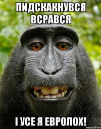 пидскакнувся всрався i усе я евролох!