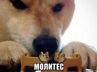  молитес