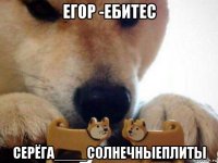 егор -ебитес серёга____солнечныеплиты