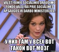 valstybinio socialinio draudimo fondo valdyba prie socialinės apsaugos ir darbo ministerijos. у них там у всех вот такой вот мозг