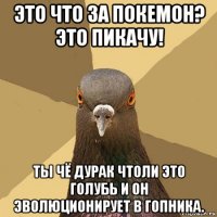 это что за покемон? это пикачу! ты чё дурак чтоли это голубь и он эволюционирует в гопника.