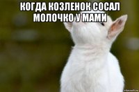 когда козленок сосал молочко у мами 