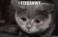 #fixbanwf 