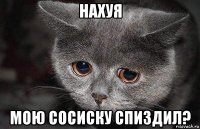 нахуя мою сосиску спиздил?