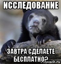 исследование завтра сделаете бесплатно?