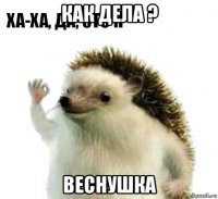 как дела ? веснушка