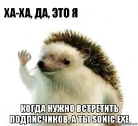  когда нужно встретить подписчиков, а ты sonic.exe