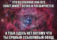 это вселенная.она все знает,живёт вечно и расширяется. а тебя здесь нет.потому что ты сраный ссыкливый овощ