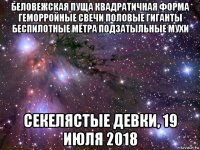 беловежская пуща квадратичная форма геморройные свечи половые гиганты беспилотные мётра подзатыльные мухи секелястые девки, 19 июля 2018