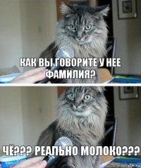 как вы говорите у нее фамилия? чё??? реально молоко???