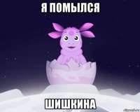 я помылся шишкина