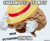 знакомьтесь, это мозг кличка