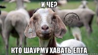 и че? кто шаурму хавать епта