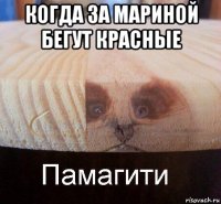 когда за мариной бегут красные 