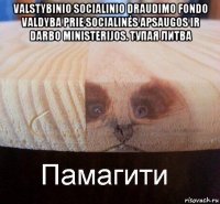 valstybinio socialinio draudimo fondo valdyba prie socialinės apsaugos ir darbo ministerijos. тупая литва 