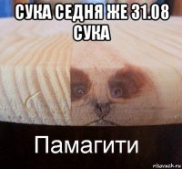 сука седня же 31.08 сука 