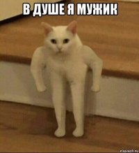 в душе я мужик 