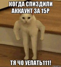 когда спиздили аккаунт за 15р тя чо уепать111!