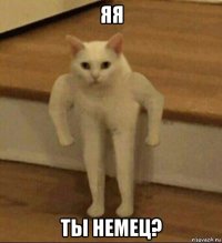 яя ты немец?