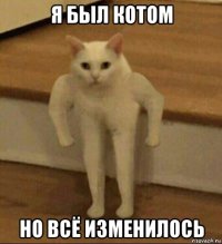 я был котом но всё изменилось