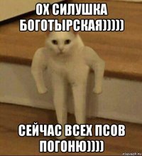 ох силушка боготырская))))) сейчас всех псов погоню))))