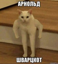 арнольд шварцкот