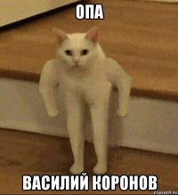 опа василий коронов