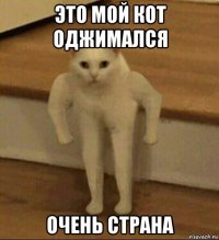 это мой кот оджимался очень страна