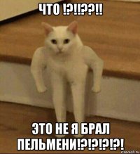 что !?!!??!! это не я брал пельмени!?!?!?!?!