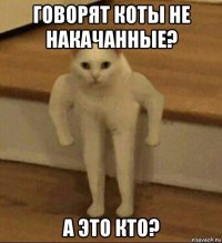 говорят коты не накачанные? а это кто?