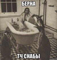 берна тч снабы