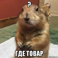 ? где товар