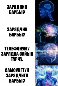 Зарядник барбы? Зарядчик барбы? Телефонуму зарядка сайып турчу. Самсунгтун зарядчиги барбы?