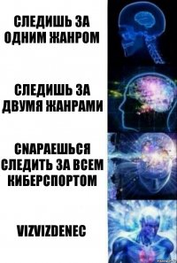 Следишь за одним жанром Следишь за двумя жанрами Сnараешься следить за всем киберспортом vizvizdenec