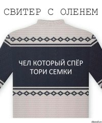 чел который спёр тори семки