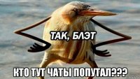  кто тут чаты попутал???