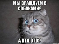 мы враждуем с собаками? а кто это?