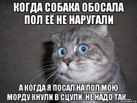 когда собака обосала пол её не наругали а когда я посал на пол мою морду кнули в сцули. не надо так...