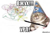 вжух!!! урл!