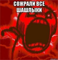 сожрали все шашлыки 